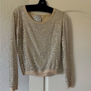 Silver Sequin Sweater